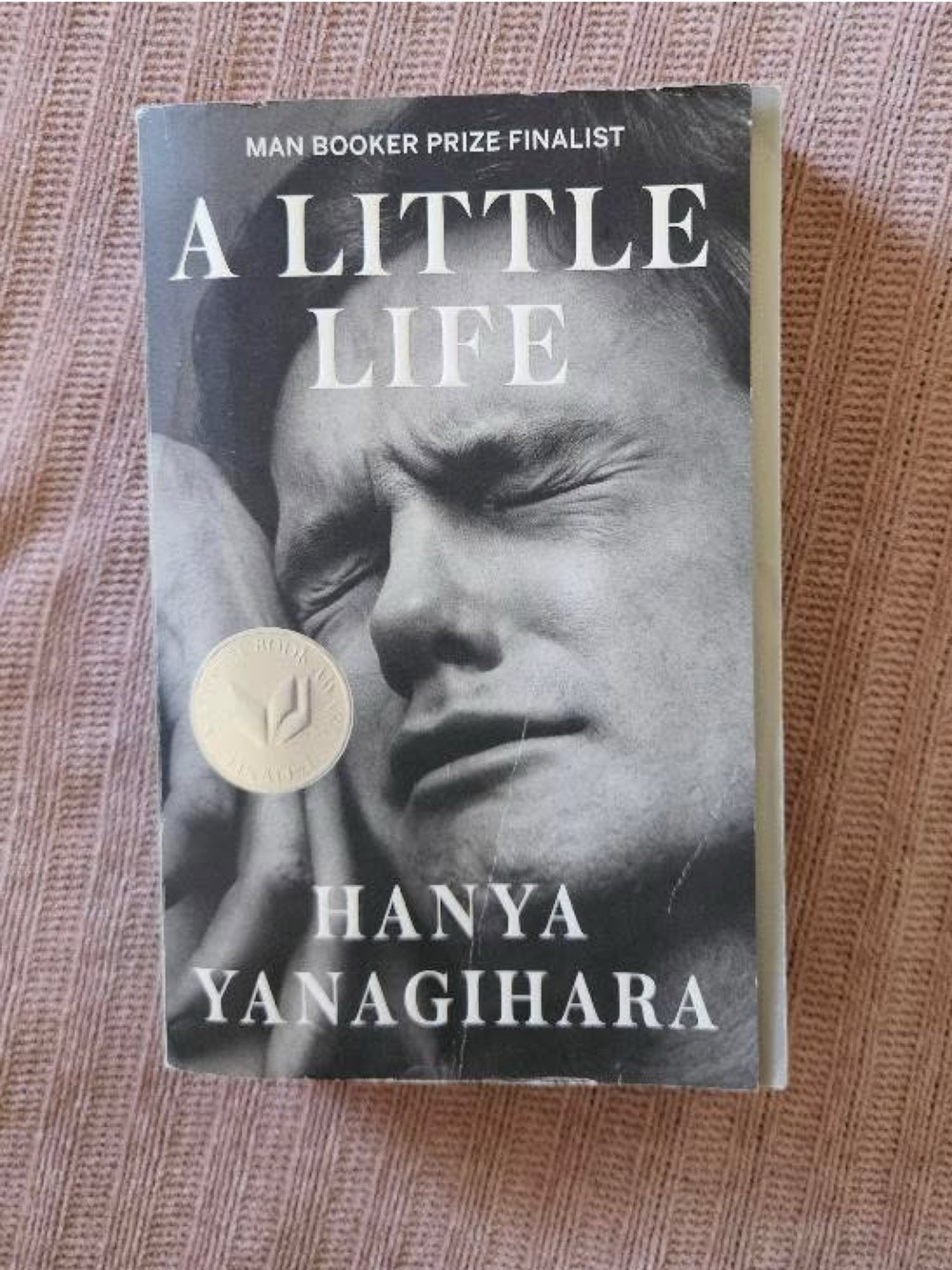 A Little Life Paperback Back Cover - Hanya Yanagihara BookTok